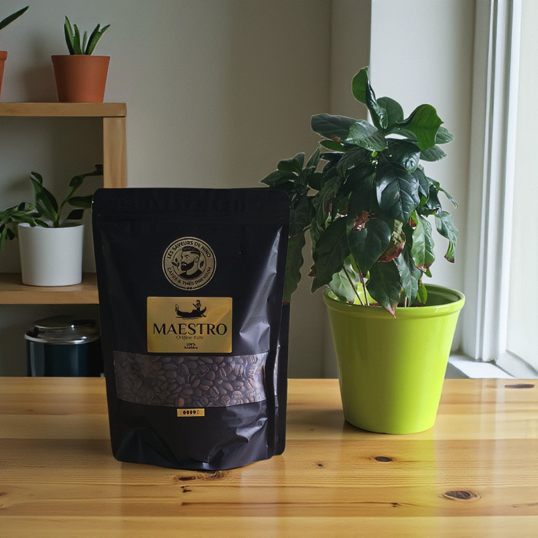 Maestro - Assemblage Italien