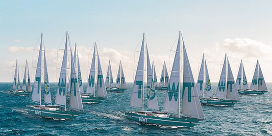 Le label ANEMOS : le transport à la voile au service d’un commerce plus responsable