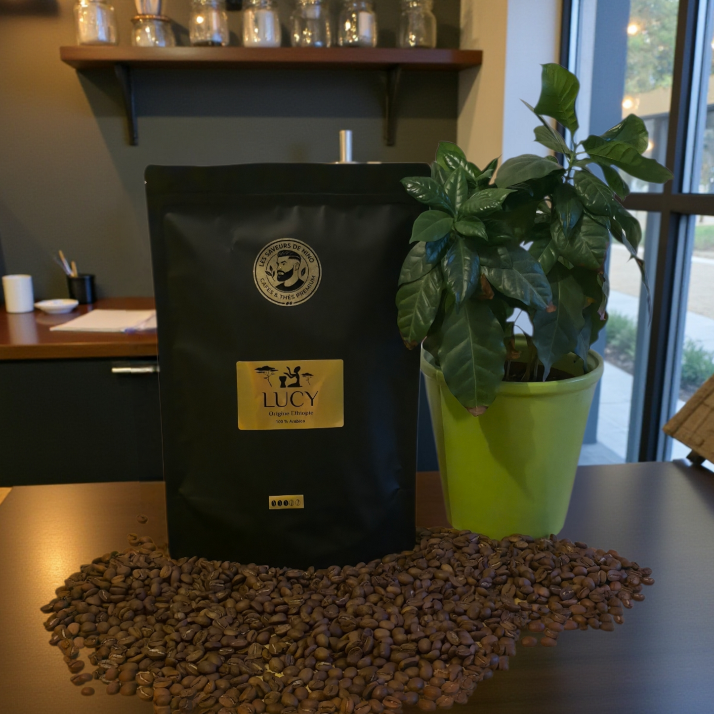 Lucy - Origine Ethiopie