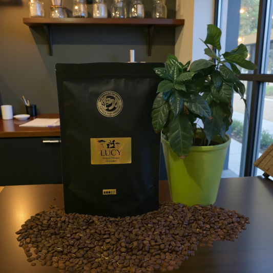 Lucy - Origine Ethiopie