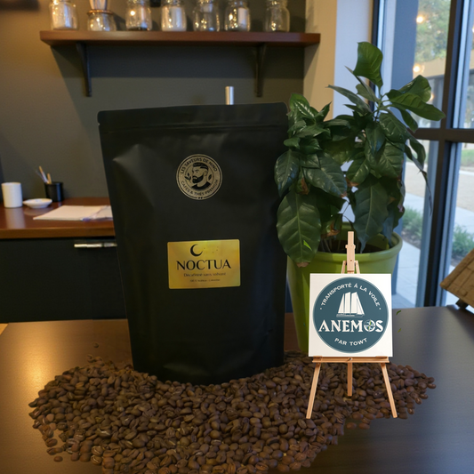 Noctua - Décaféiné sans solvant