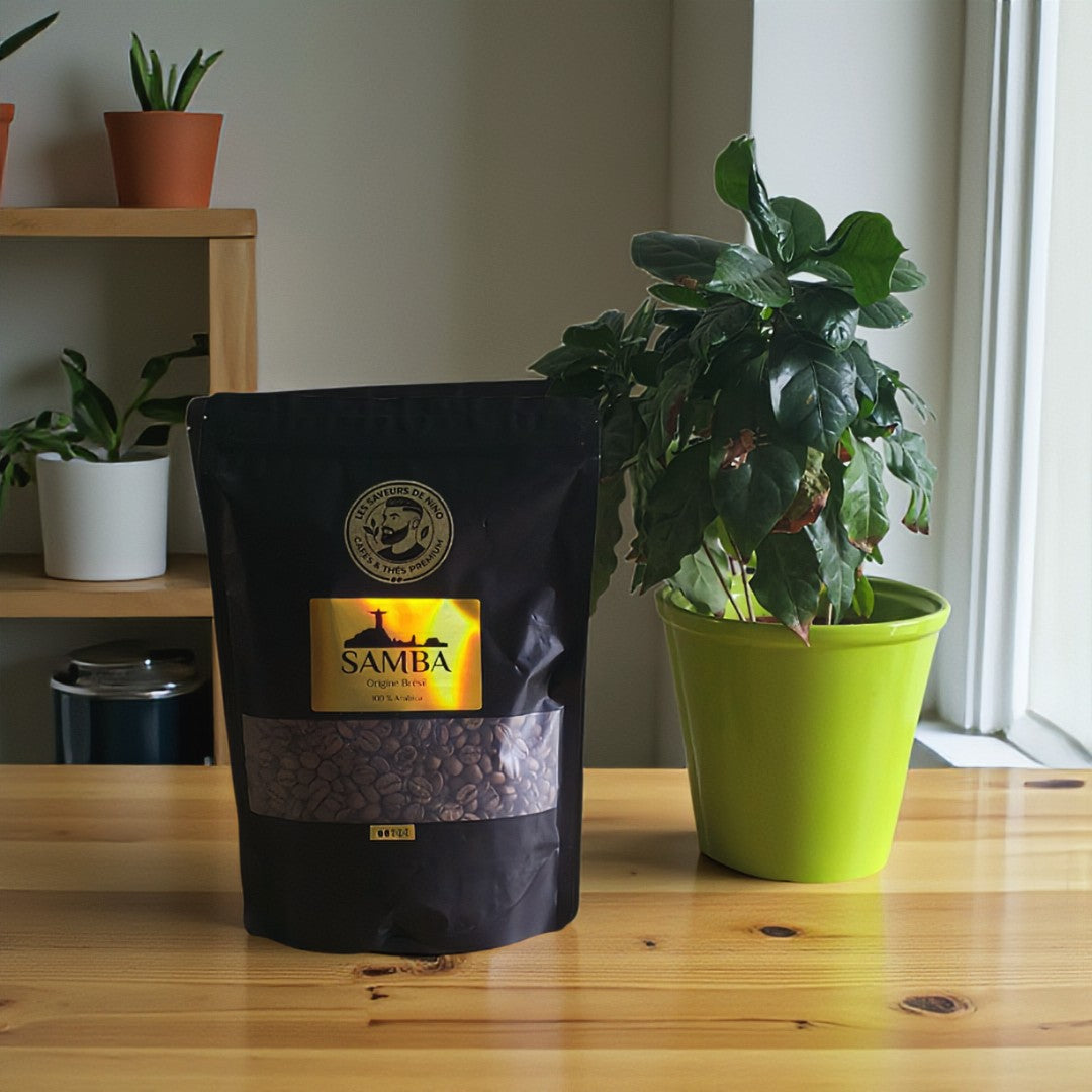 Samba - Origine Brésil