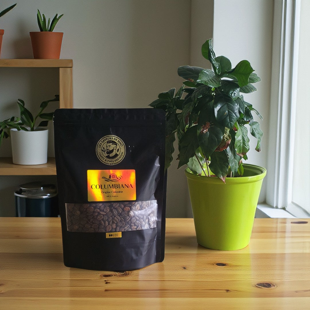 Columbiana - Origine Colombie