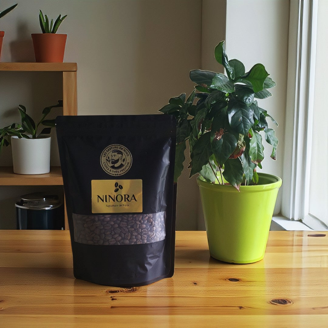 Café Signature "Ninora" 100% Arabica